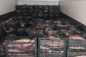 Жительнице Ростовской области грозит до 6 лет лишения свободы за нелегальный сбыт рыбы