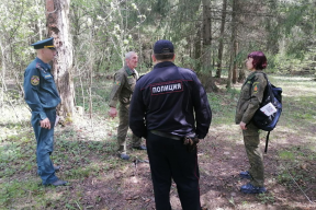 Полицейские и лесничие провели профилактические рейды в лесах г.о. Пушкинский