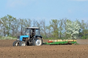 Сельское хозяйство ДНР получило с начала года субсидий на 386 млн рублей