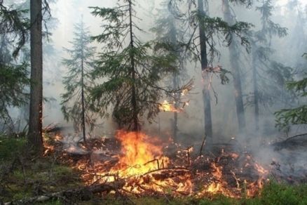 Сахалинские огнеборцы провели ночной бой с лесным огнём
