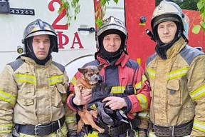 В Уфе пожарные спасли Хасбика из горящей квартиры