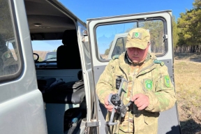 Браконьеров Новосибирской области будут ловить с помощью дронов
