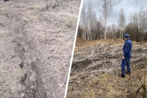 В Новосибирске пожаловались в прокуратуру на незаконный скотомогильник