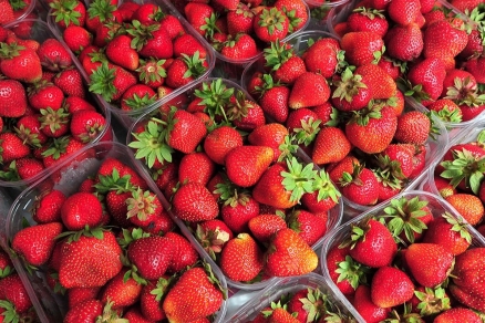 Muscovites bought up 15 tons of strawberries for a week