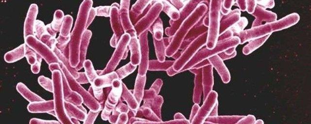Учеными предложено новое лекарство против туберкулеза