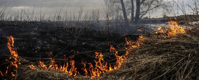 Власти Забайкалья прогнозируют ухудшение ситуации с лесными пожарами