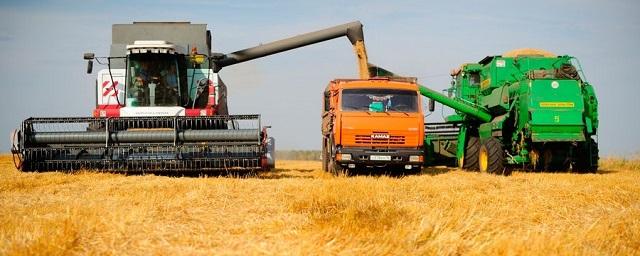 В Алтайском крае намолотили 3 млн тонн зерна