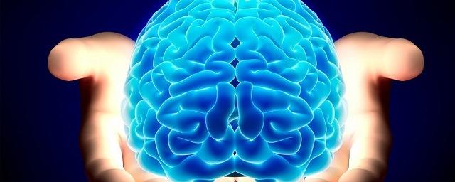 Нейробиологи: Человеческий мозг способен работать на «автопилоте»