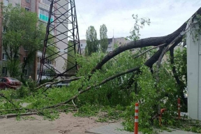 Спасатели ликвидируют последствия сильного ветра в Воронеже