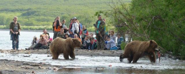 На Камчатке медведь убил сотрудника заповедника