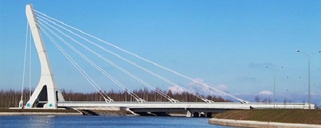 Четыре краеведа вышли из Топонимической комиссии из-за моста Кадырова