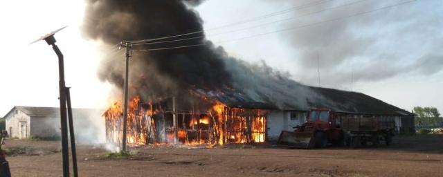 Огнем уничтожено 40 тонн запаса зерна Марий Эл