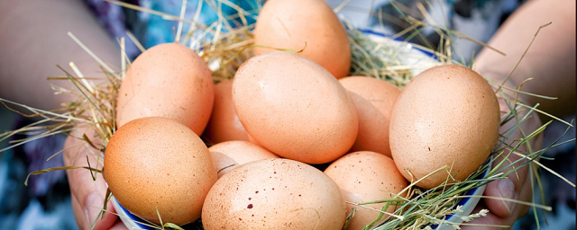 Ученые: Яйца снижают давление и ускоряют потерю лишнего веса