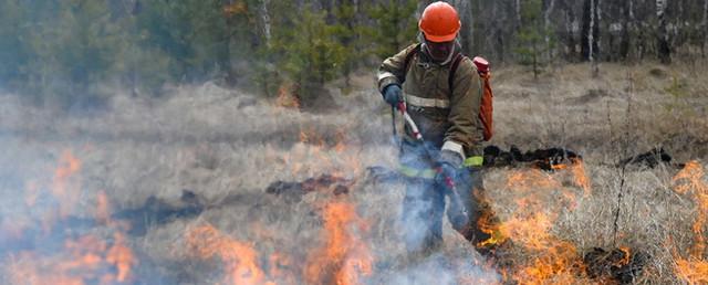 На совещании в Югорске обсудили готовность ХМАО к лесопожарному сезону