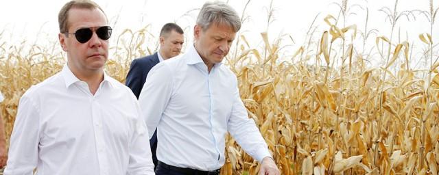 Медведев: Урожай зерна в России достиг 117 миллионов тонн