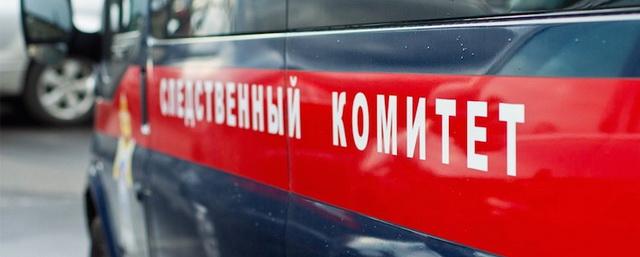 В Пермском крае мужчина жестоко убил соседскую 12-летнюю девочку