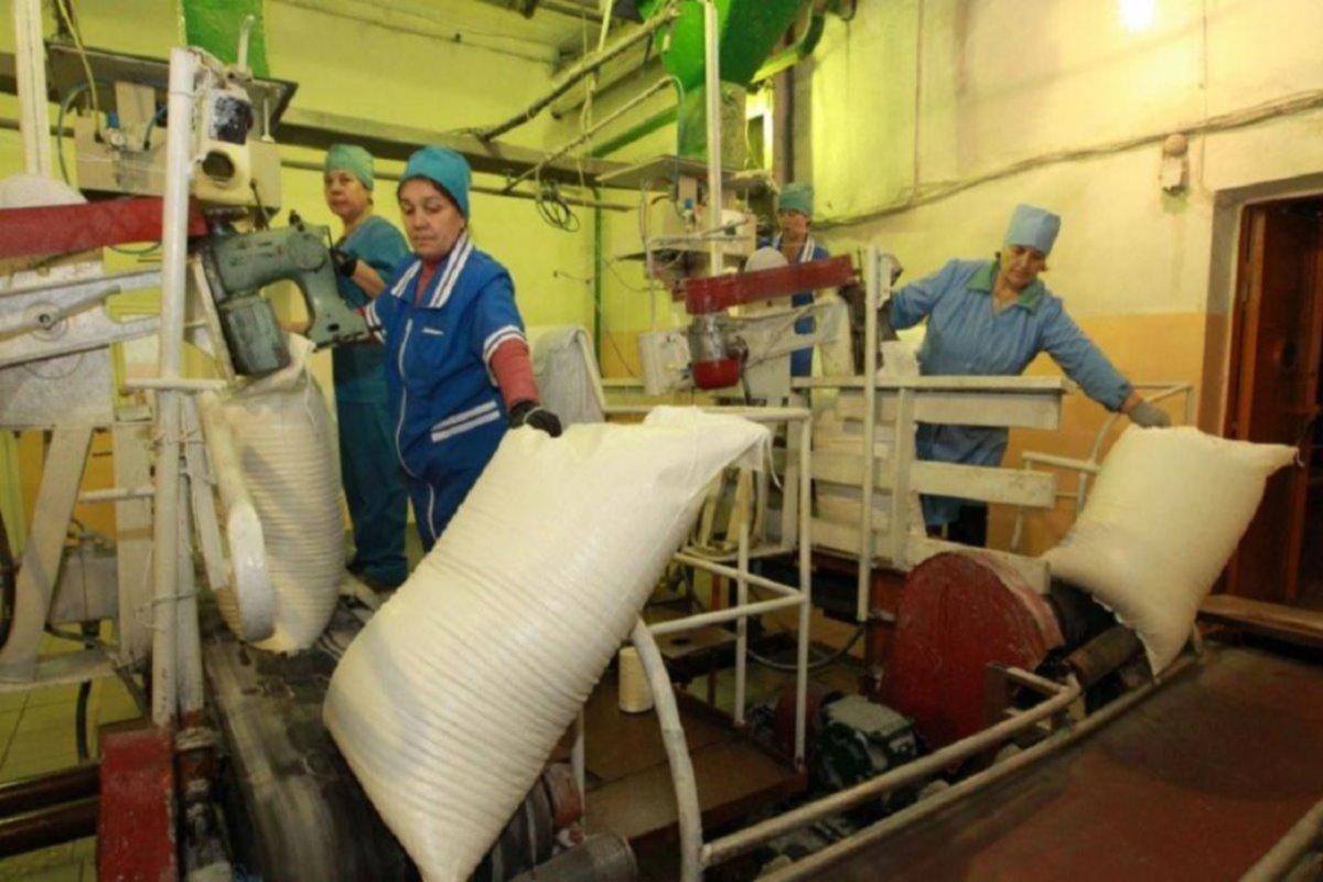 В Башкирии проводится расследование в отношении сахарного завода, отравившего воду в реке