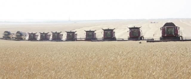 В Оренбургской области началась уборка зерновых и зернобобовых культур