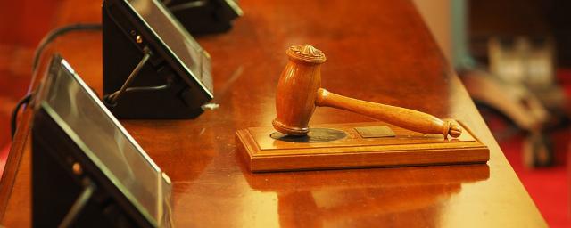Суд вынес приговор живодеру из Геленджика