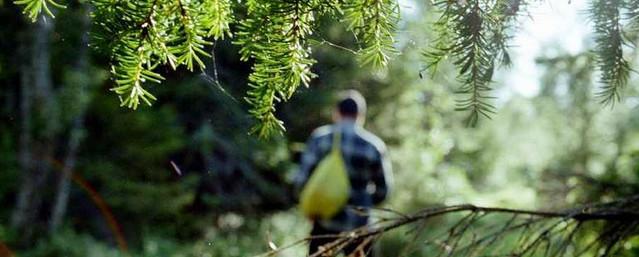 В Кировской области заблудившийся мужчина прожил два месяца в лесу