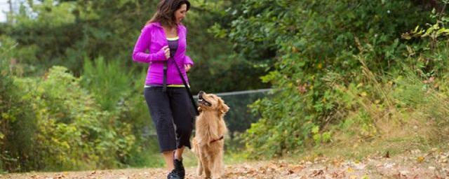 10 идеальных пород собак для совместных пробежек