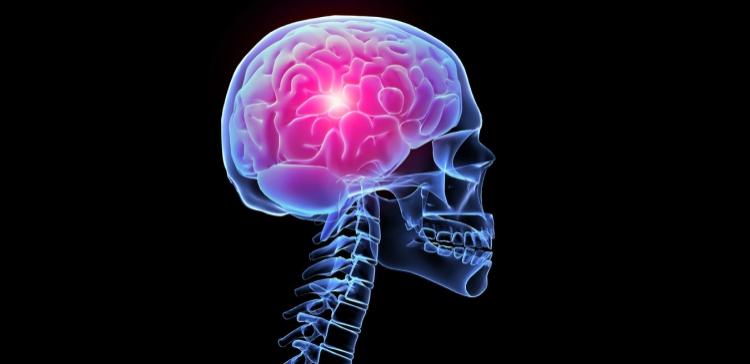 Ученые: Снимок мозга укажет на потенциальные проблемы с наркотиками
