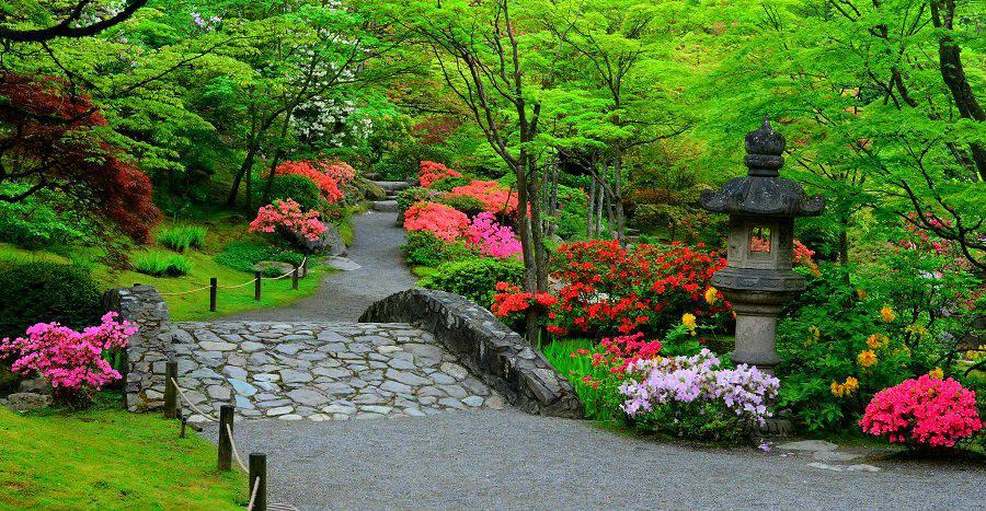 В Ульяновске 27 мая состоится закладка японского сада