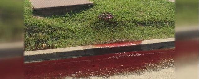 В Луизиане улицы города Батон Руж залило кровью