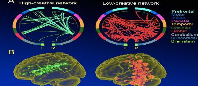 Ученые: У креативных людей взаимосвязаны три нейронные сети мозга