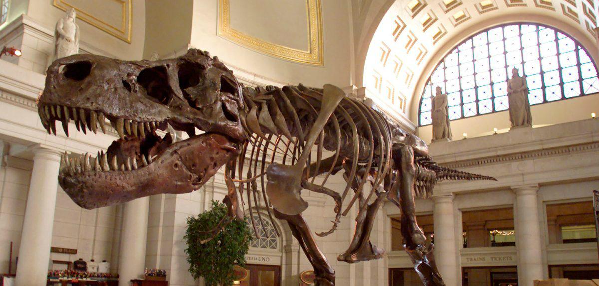 В США нашли останки древнего родственника тираннозавра