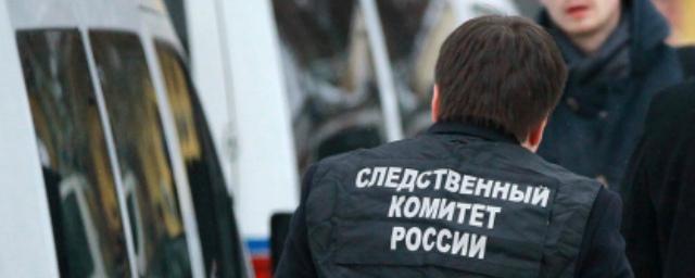 В Ульяновске перед судом предстанет водитель, сбивший пешеходов