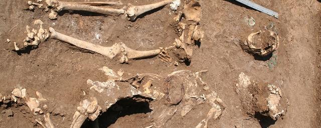В Ростовской области археологи обнаружили два древних захоронения