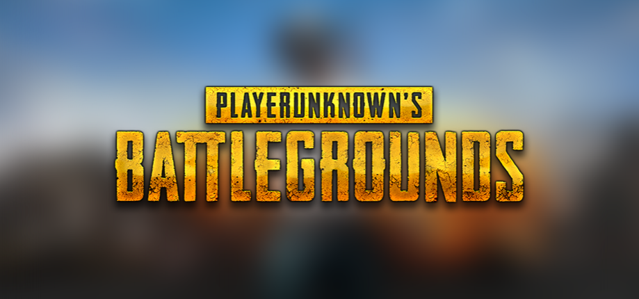 Разработчики PlayerUnknown's Battlegrounds отложили выпуск обновления‍