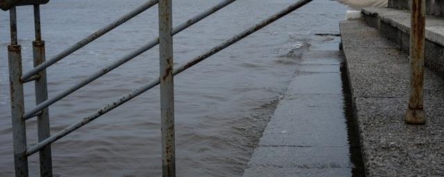 Специалисты: Наводнение в Хабаровском крае ожидается в августе-сентябре