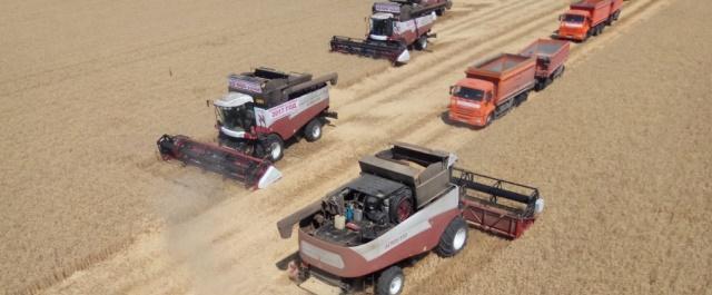 На юге Ростовской области хозяйства заканчивают уборку ранних зерновых