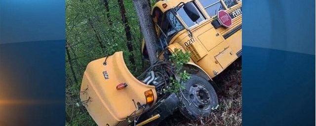 В США школьный автобус врезался в дерево из-за выбежавшего оленя