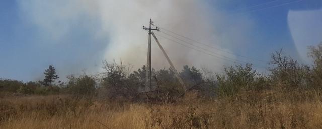 У табачной фабрики в Волгограде бушует лесной пожар