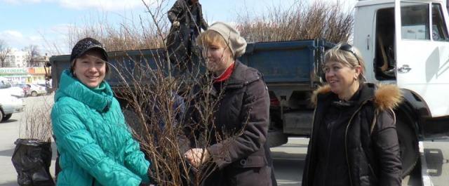 В Рязани активистам ТОСов раздали кустарники для рассадки по дворам