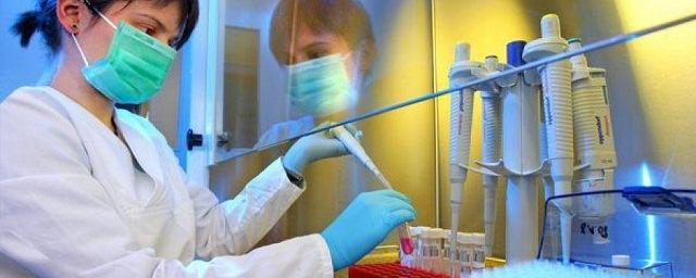 В Хабаровске растет число заболевших рота- и энтеровирусной инфекциями