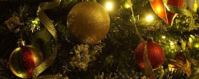 В Омске власти потратят на украшения новогодней елки 1,2 млн рублей