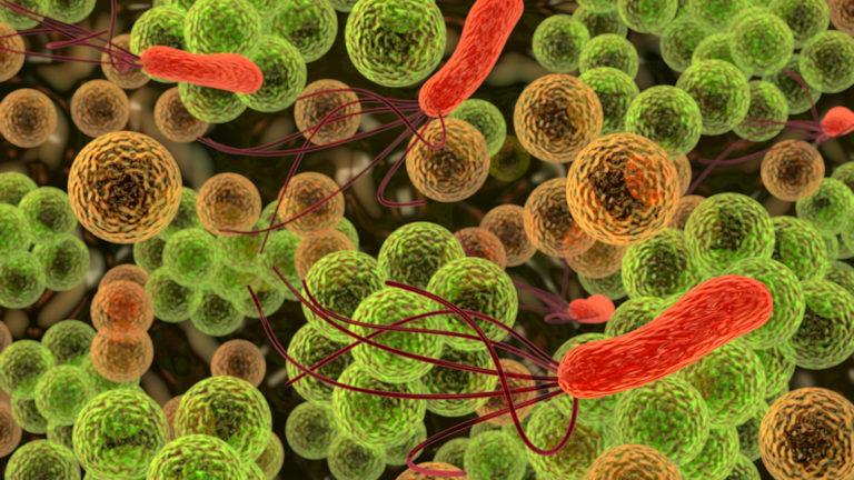 Ученые: Бактерии в ротовой полости могут провоцировать рак