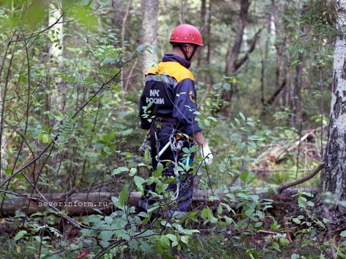 Под Кировском спасатели вывели из леса двух заблудившихся женщин