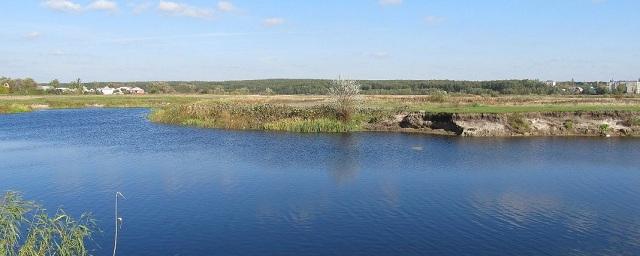 В Воронеже мужчина утонул в реке Усманка