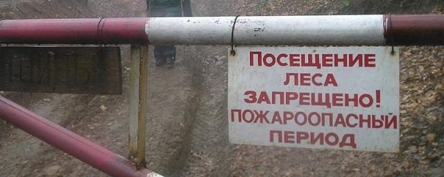 В трех районах Псковской области ввели запрет на посещение лесов