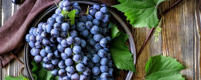 В Дагестане аграрии собрали около 140 тысяч тонн винограда