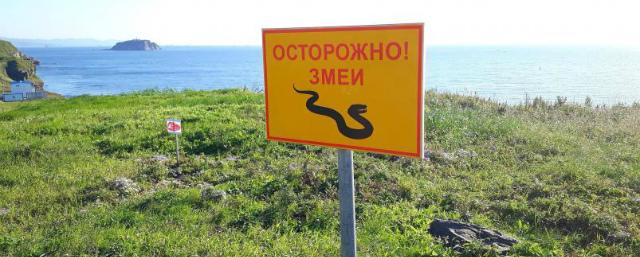 Территорию Приморского океанариума оккупировали ядовитые змеи
