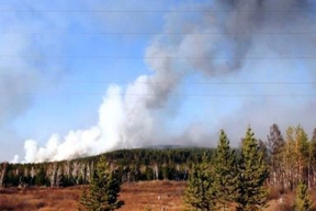 В ЕАО ликвидировали лесной пожар в заповеднике «Бастак»