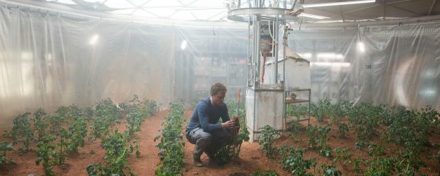 Ученые смогли вырастить картошку в марсианских условиях