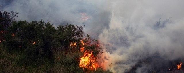 В Тоскане из-за лесного пожара эвакуировали 700 человек