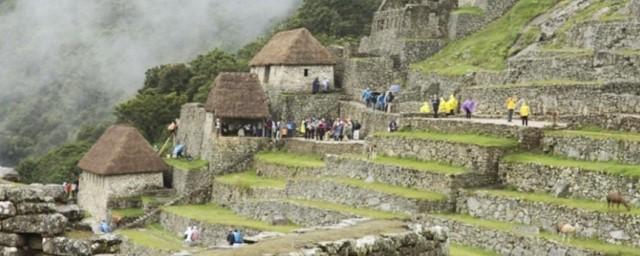 СМИ: В Перу за убийство шаманки линчевали гражданина Канады